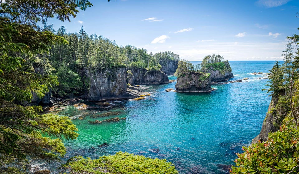 🌊 The Best USA Coastline: Exploring Washington’s Wild Olympic Shores ...