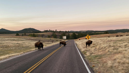 🚫 Avoid These 7 Rookie Mistakes on Your First Long Road Trip