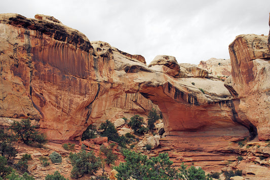 🏜️ One Day in Capitol Reef National Park: The Perfect Itinerary from Moab to Torrey