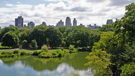 Central Park from Belvedere Castle