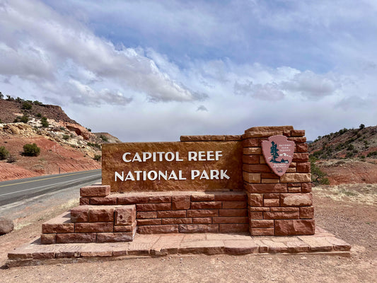 🥾 Hikes in Capitol Reef National Park You Can’t Miss