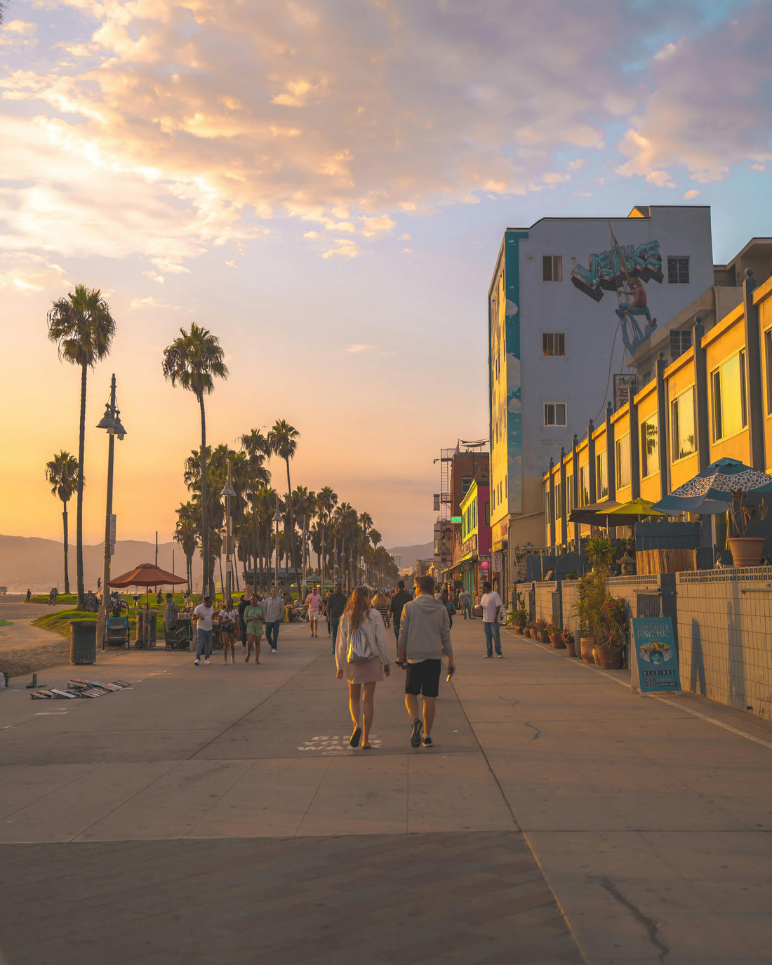 🌴 1 Perfect Day in Santa Monica & Venice: Beaches, Canals & California Vibes