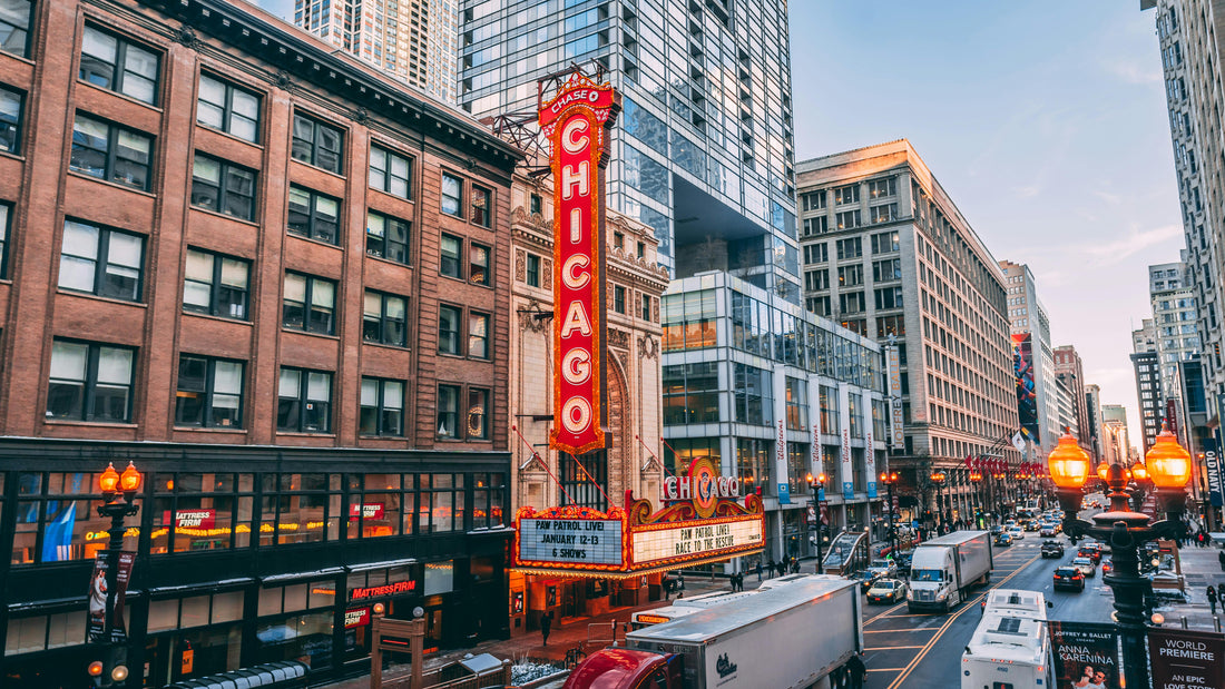 explore downtown Chicago