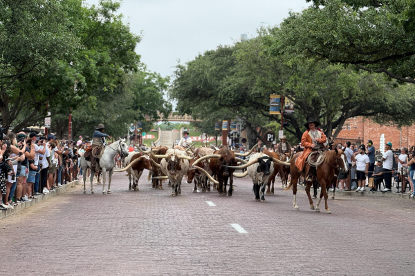 🤠 Is Texas Safe for Road Trips? Here's What International Travelers Need to Know