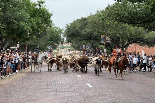 🤠 Is Texas Safe for Road Trips? Here's What International Travelers Need to Know