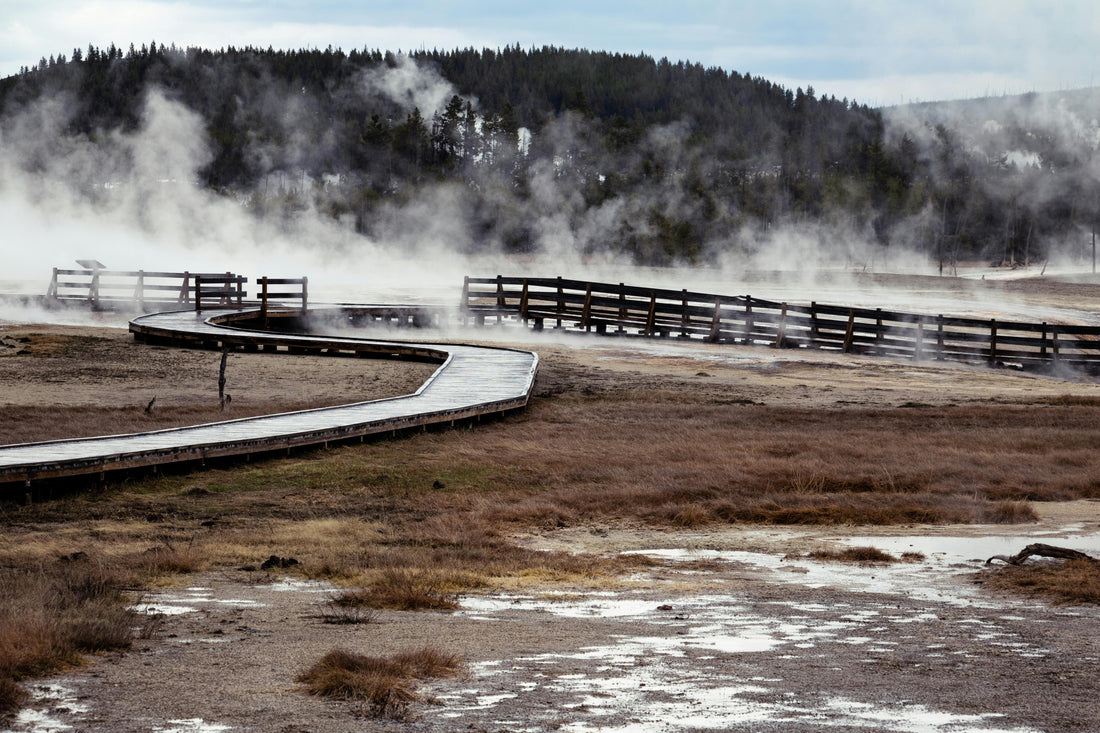 🦬 Do You Need to Book Yellowstone and Grand Teton Lodging Now?
