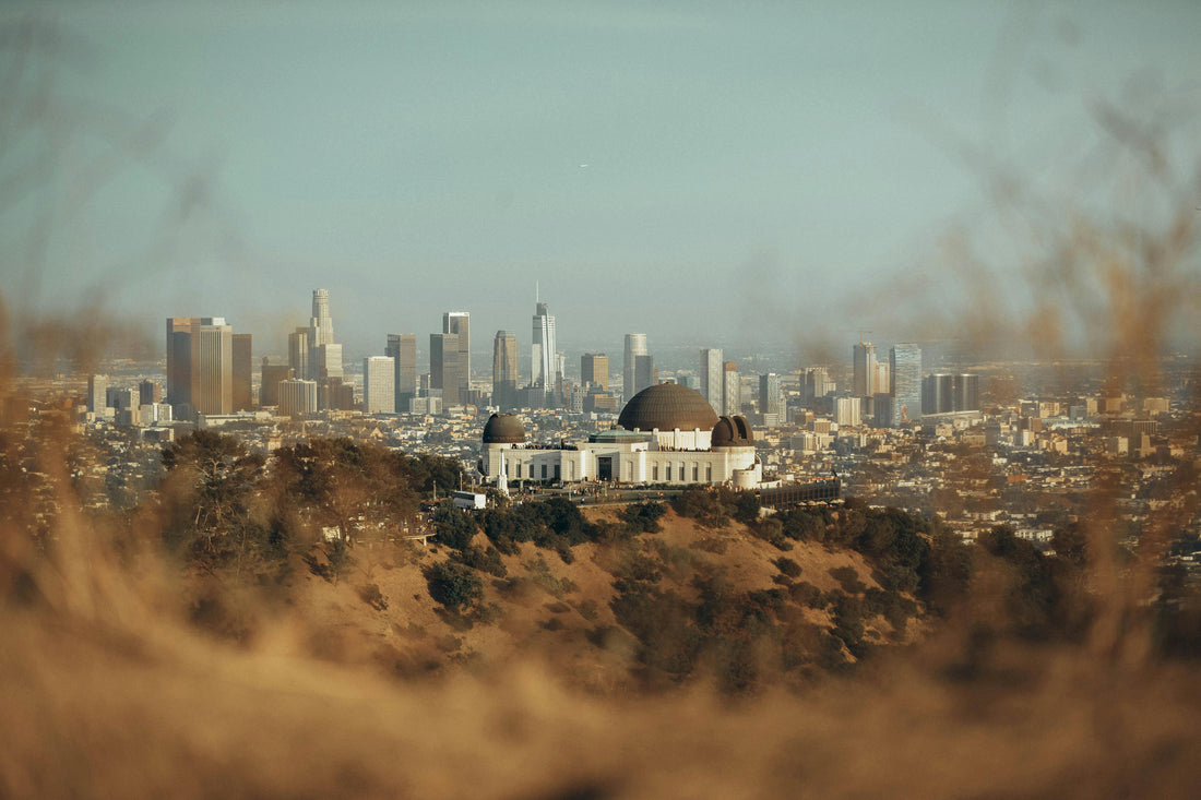 Do You Actually Need a Car in LA?