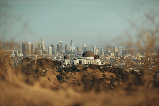 Do You Actually Need a Car in LA?