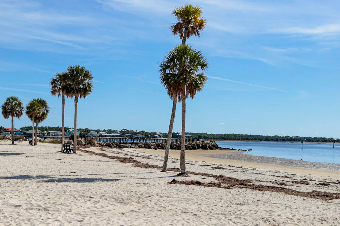 How Many Days Do You Need for a Florida, Memphis and New Orleans Road Trip?