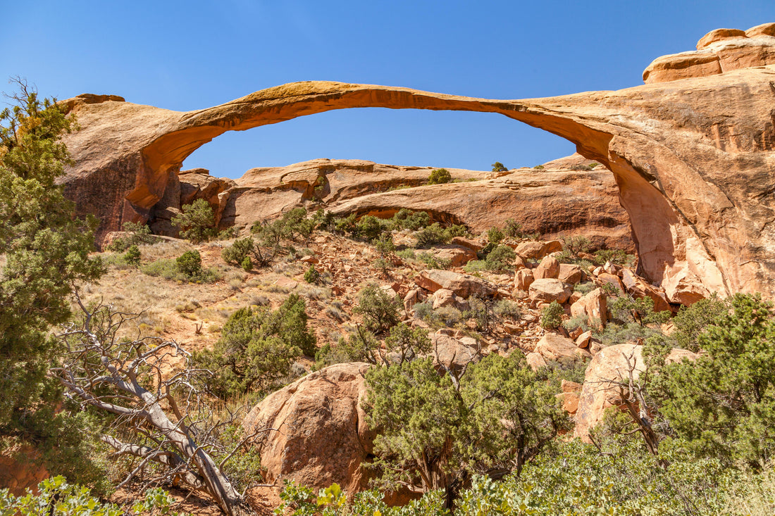 🏜️ Can You Do Utah's Mighty 5 in One Week?