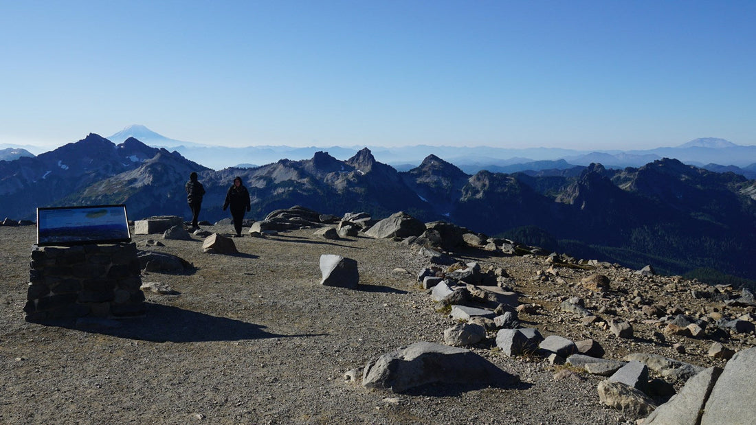 Best Hikes in Mount Rainier National Park (All Levels + Trail Tips) 🏔️🥾