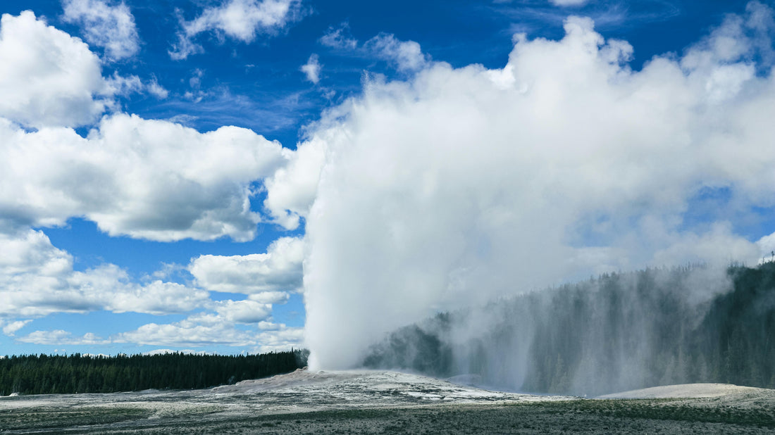 🦬 Is Yellowstone Worth 3 Days?