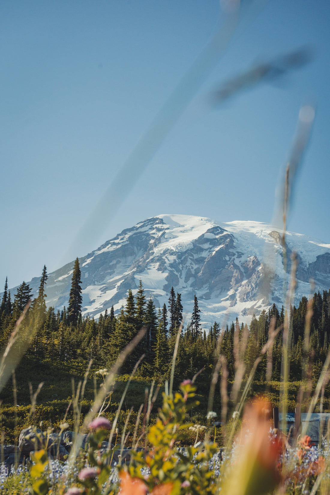 The Best Week to Catch Mount Rainier's Fall Colors on a Chicago to Seattle Drive