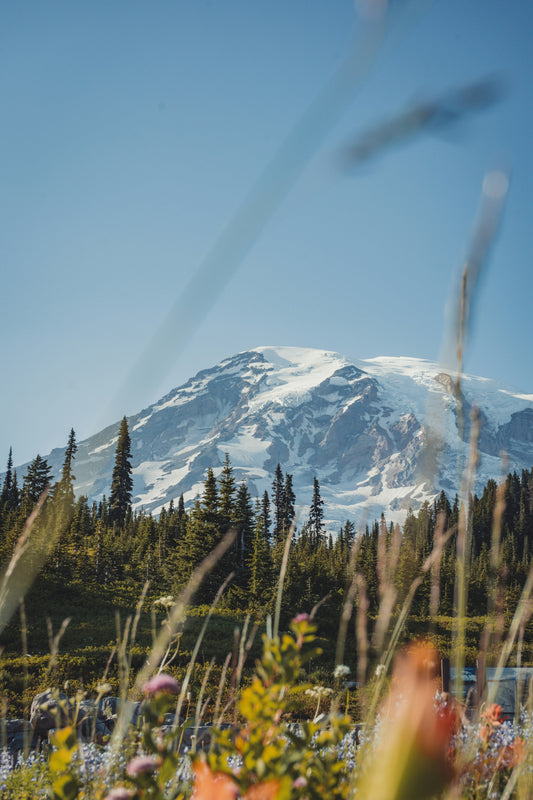 The Best Week to Catch Mount Rainier's Fall Colors on a Chicago to Seattle Drive
