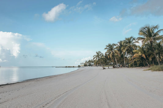 🌴 Best Time of Year for a Florida Road Trip: Weather, Crowds & Insider Tips