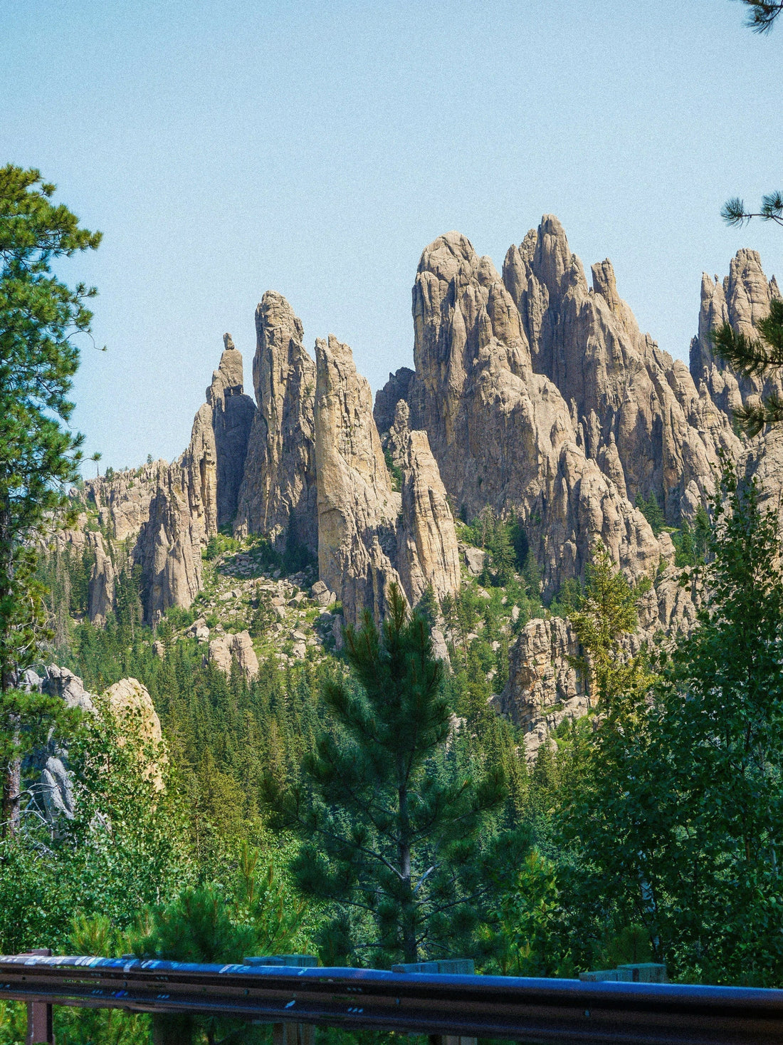 Custer State Park, Black Hills, South Dakota