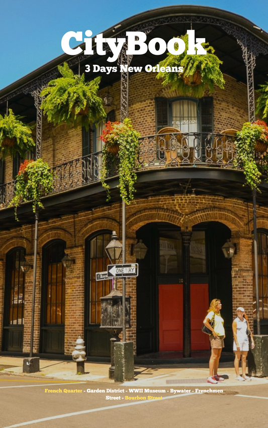 Book cover of 'CityBook: 3 Days New Orleans' with a scenic view of a New Orleans street.