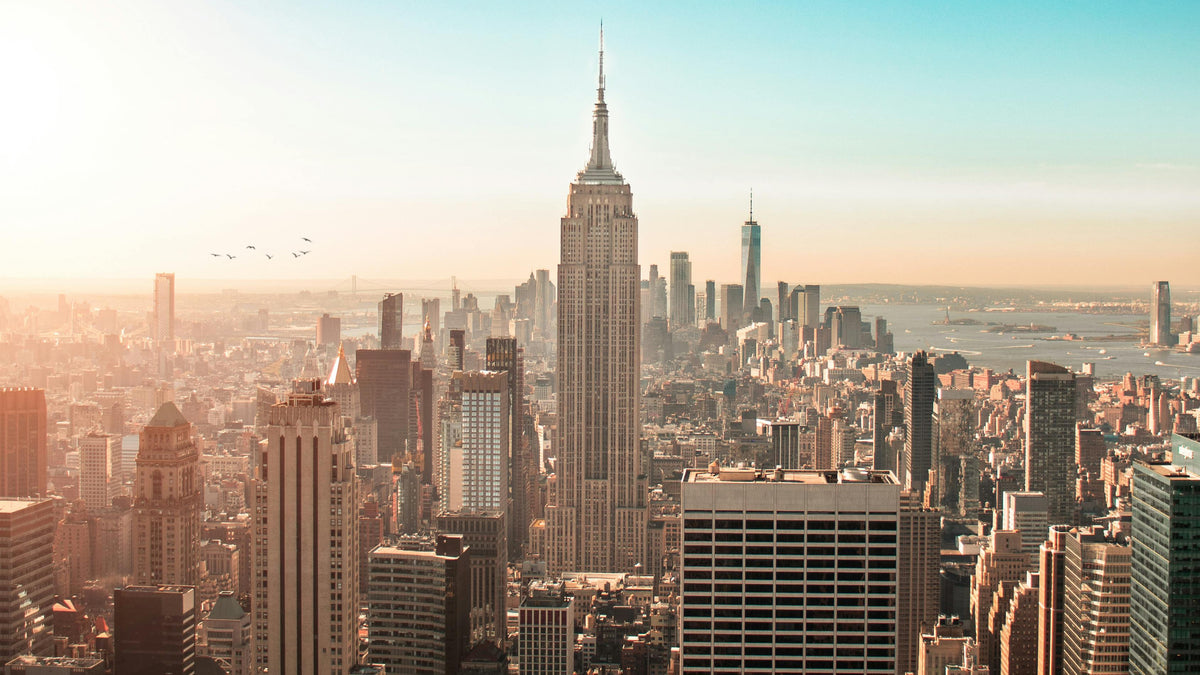 Aerial view of the New York City skyline with the Empire State Building centered, surrounded by dense high-rise buildings under a pale blue sky with warm sunlight on the left.