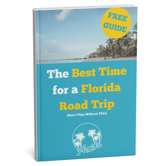 Book cover with 'The Best Time for a Florida Road Trip' title and beach scene