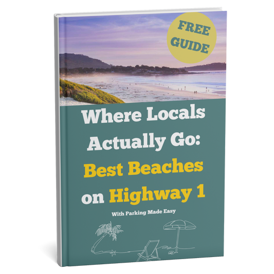 Book cover with beach scene and text about best beaches on Highway 1