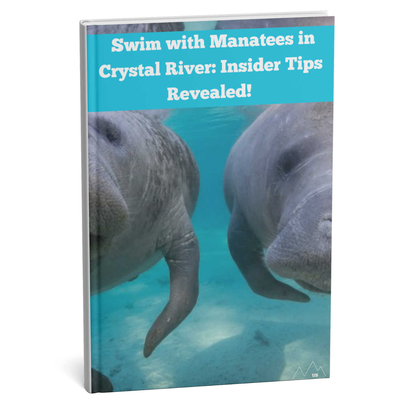 Book cover with two manatees underwater and text about swimming with manatees in Crystal River.