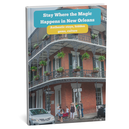 Book cover with a New Orleans street scene and promotional text.