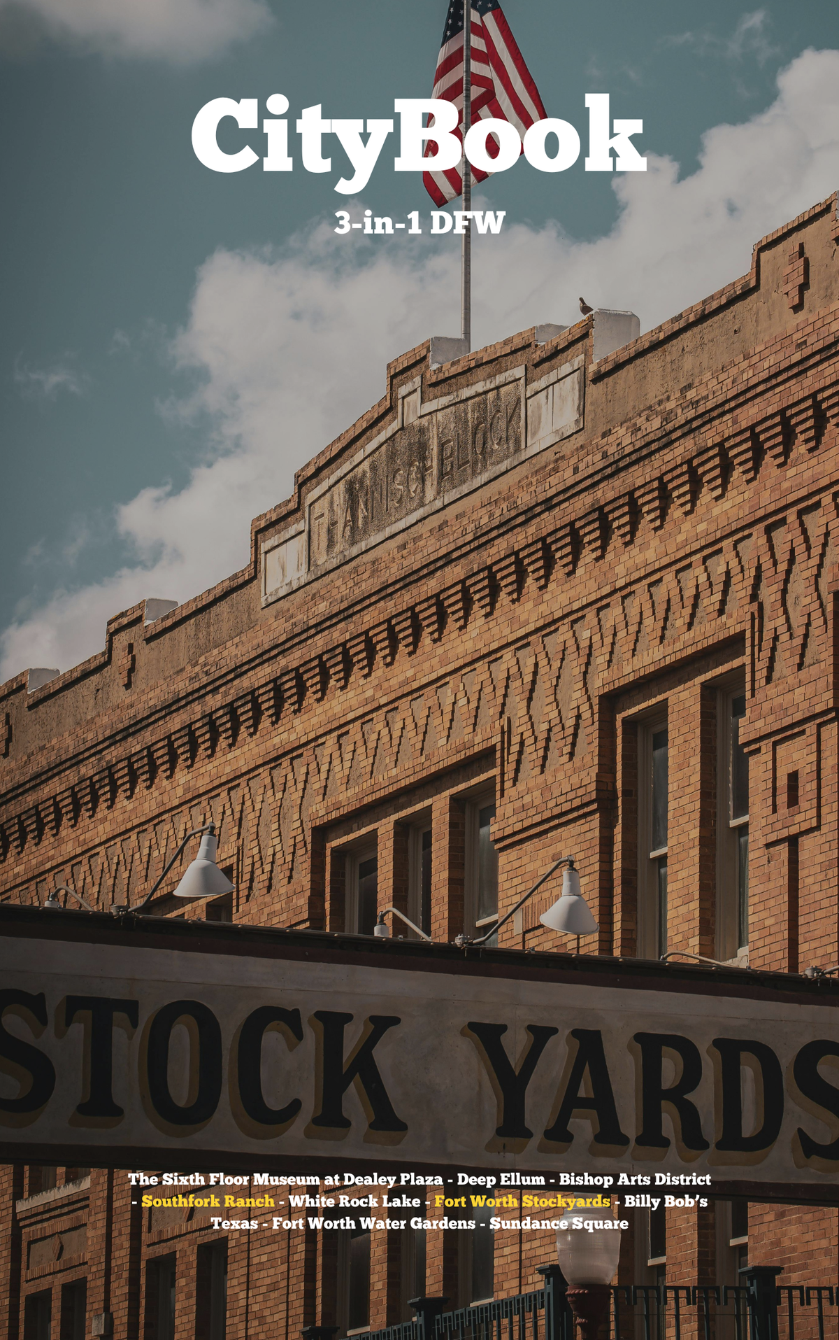 CityBook: 3-in-1 Dallas-Fort Worth
