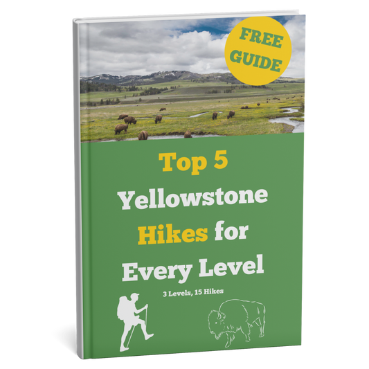 Top 5 Yellowstone Hikes for Every Level